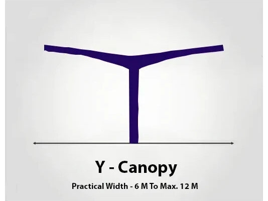 Image Border Editor: https://www.tuxpi.com/photo-effects/borders